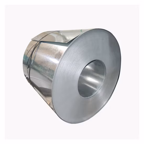 304 316L Hot/Cold Rolled/Stainless/PPGI, PPGL, Gi/Color Coated/Tinplate/Galvanized/Carbon/Zinc Coated/Galvalume/Steel Coil